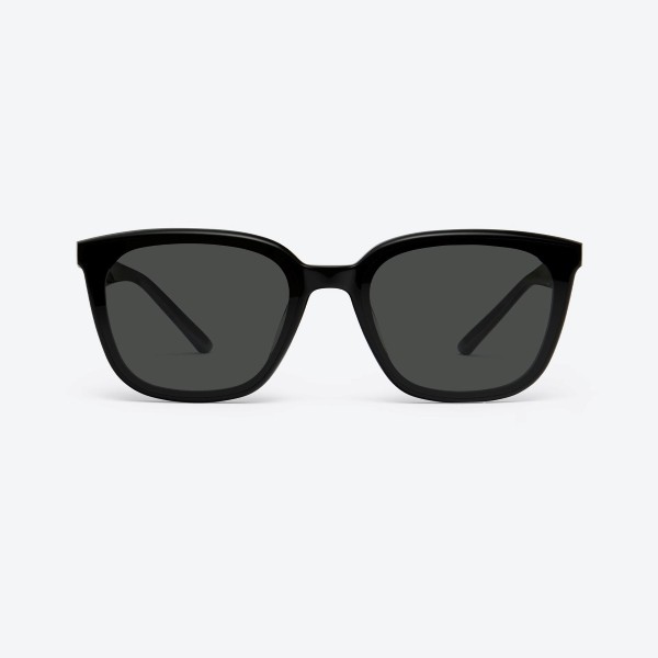 Pino 01